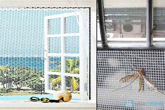 Káº¿t quáº£ hÃ¬nh áº£nh cho luoi chong muoi