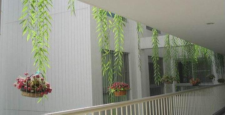 Lưới An Toàn Chung Cư Tp. Hồ Chí Minh